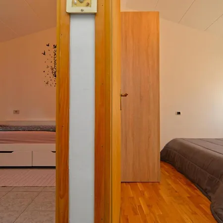 Senada 1503 * Galižana