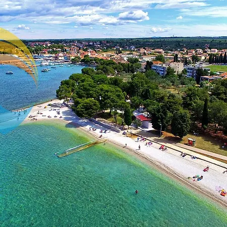 Senada 1503 * Galižana