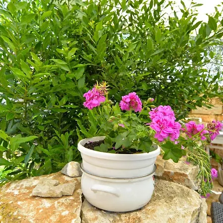 شقة Senada 1503 Galižana